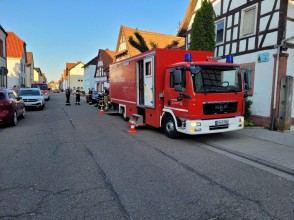 Einsatzfoto WhatsApp Image 2024-07-17 at 21.33.40 (Groß).jpg